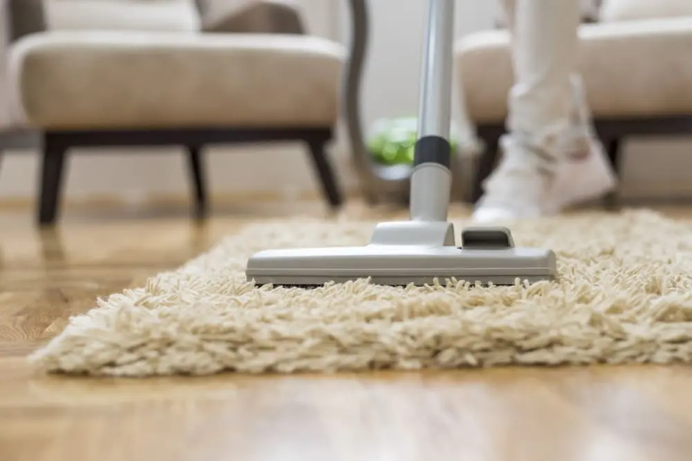 Choose the professional among the professional at Carpet Cleaning Elwood